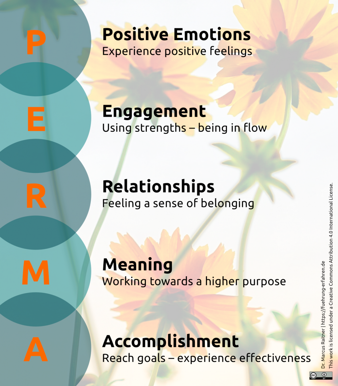 The Five Pillars of WellBeing Dr. Marcus Raitner